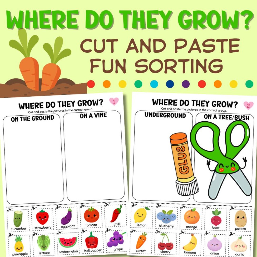 Fruits Vegetables Sorting Activity, Where Do They Grow Worksheet (PDF ...
