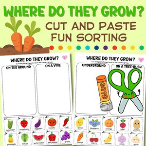 Puede incluir: Una colorida hoja de trabajo educativa titulada "WHERE DO THEY GROW?" presenta ilustraciones de frutas y verduras. La hoja de trabajo incluye actividades de cortar y pegar para clasificar los productos en categorías como "En el suelo" y "En una vid".