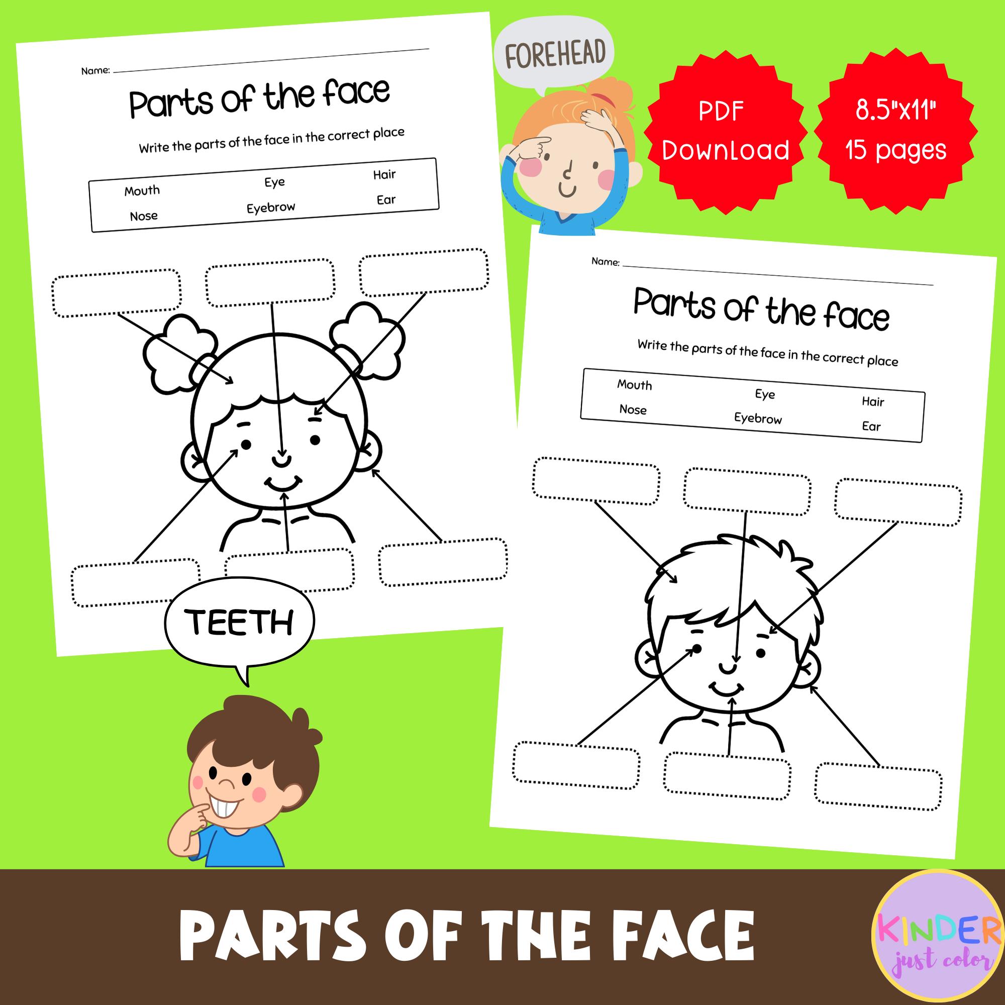 Body Parts Worksheet, Body &amp;face Parts Matching, Learn My Body Part ...