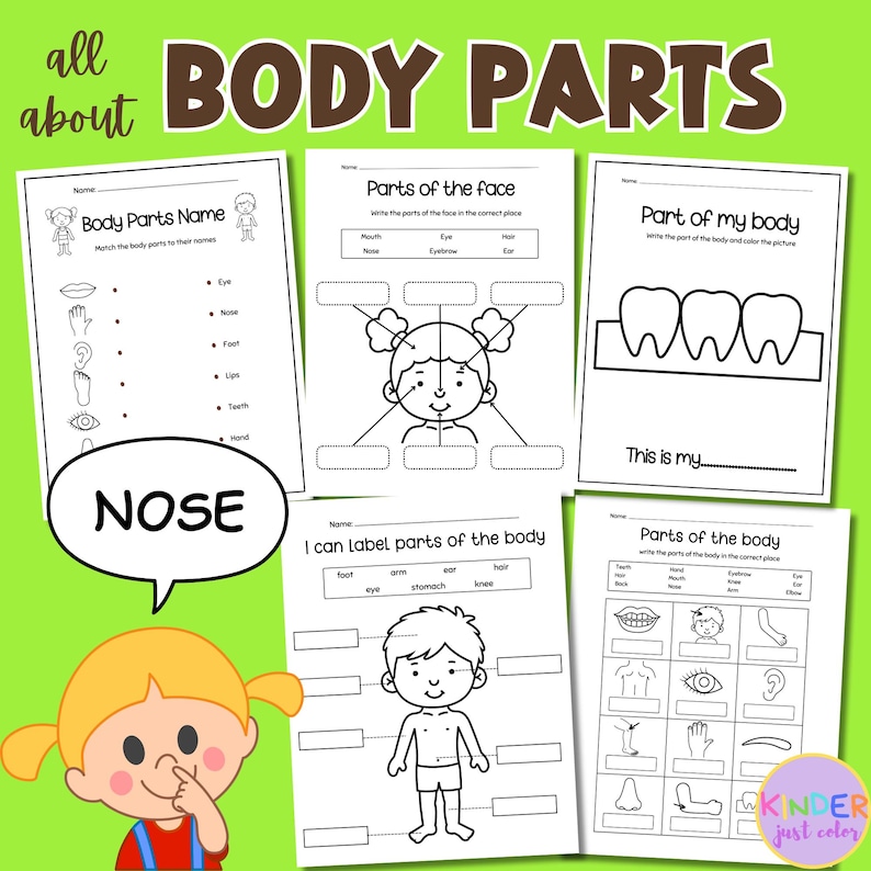 Body Parts Worksheet, Body &amp;face Parts Matching, Learn My Body Part ...