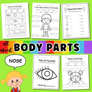 Body Parts Worksheet: Human Anatomy Learning Activity (Printable PDF)
