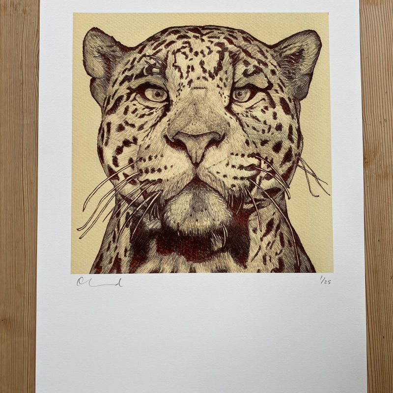 biro-art-etsy-uk