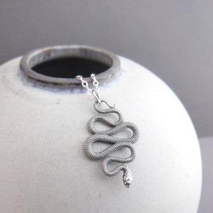 Collar de serpiente escamosa de plata de ley: dije de animal espiritual reptil de 2.5 cm (1 pulgada)