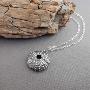 small sterling silver sea urchin shell necklace small seashell pendant beach jewelry ocean aquatic sea creature marine charm summer 5/8"