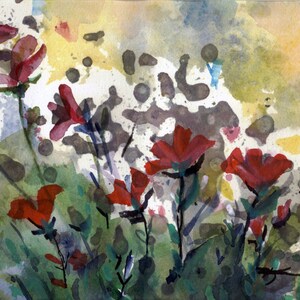 Meadow