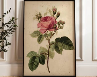 Rosa antigua vintage / Impresión floral / Jardín de flores / Decoración de pared para sala de estar / Decoración de granja / Pintura al óleo de jardín de rosas