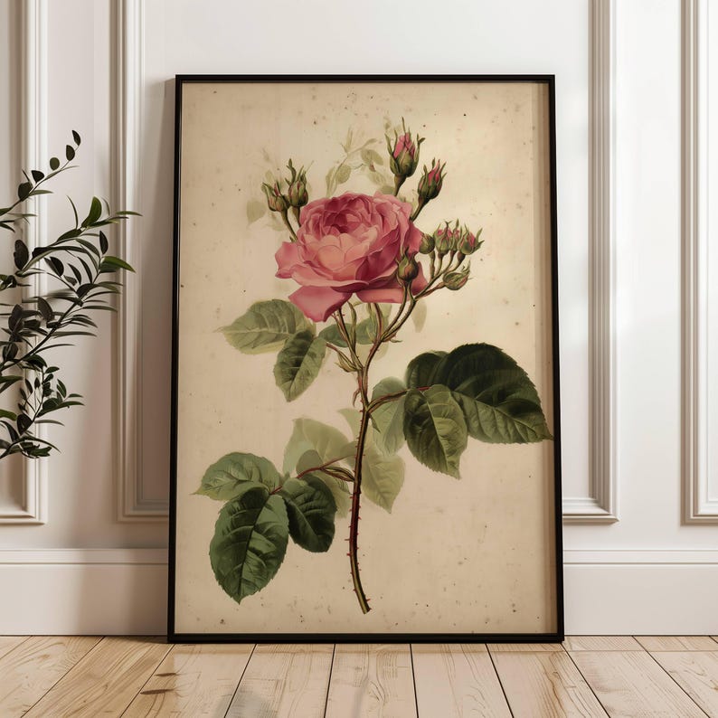 vintage-antique-pink-rose-floral-art-print-flower-garden-living