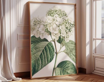 White Hydrangea Floral Art Print | Hydrangea Painting | Hydrangea Farmhouse Decor | Botanical Wall Art | Neutral Wall Print Decor