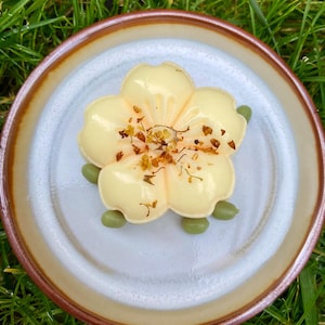 May include: A pale yellow flower-shaped soap, decorated with dried herbs, sits on a ceramic plate. The plate has a white centre and a brown rim, set against a background of green grass.