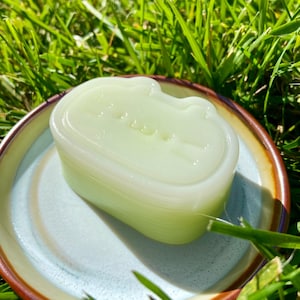 May include: A light green, rectangular bar of soap with a curved top, resting on a small, round ceramic plate with a blue and brown rim. The soap is surrounded by green grass.