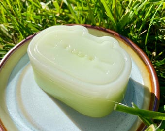 Matcha Cat Squishy Toy | Silicone Fidget, Handcrafted Sensory Play