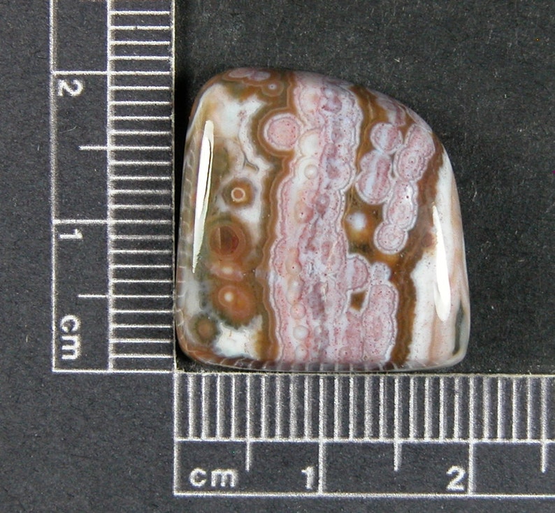 Ocean Jasper Cabochon Hand Cut JO231 image 1