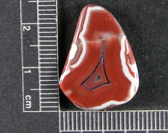 Wave Hill Agate Cabochon Hand Cut AWH4