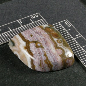 Ocean Jasper Cabochon Hand Cut JO231 image 3