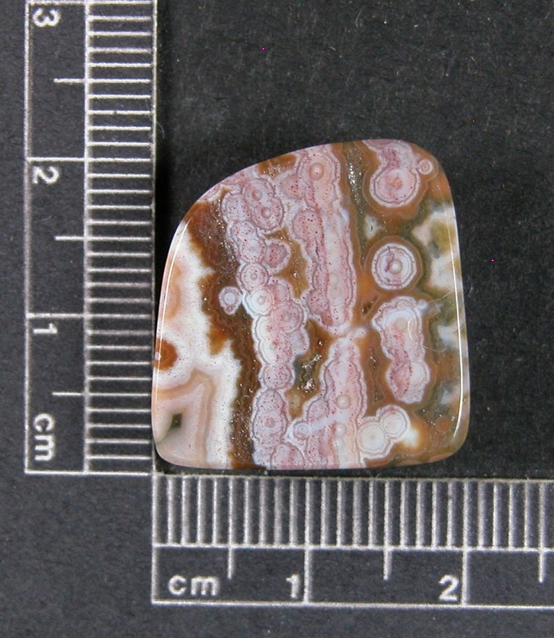 Ocean Jasper Cabochon Hand Cut JO231 image 2