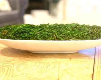 Preserved Moss Bowl Arrangement, Elegant Table Centerpiece