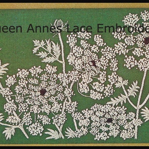 Queen Anne's Lace Embroidery Pattern, Queen Ann Lace Craft, 26 X 12 Inches, Graphs Enlarged To Scale, PDF File...DurhamDeals