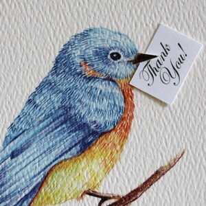 Blue Bird of Happiness Cartes de remerciement. Ensemble de 50