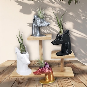 May include: Four greyhound dog head planters in different colors, silver, black, white, and gold, with air plants growing inside. The planters are displayed on wooden shelves.