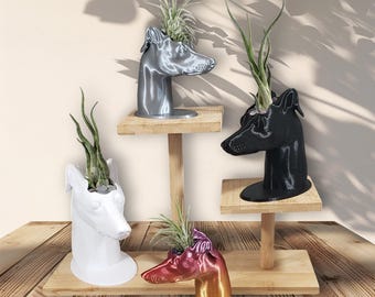 Jardinera para galgo italiano con drenaje (impresa en 3D)