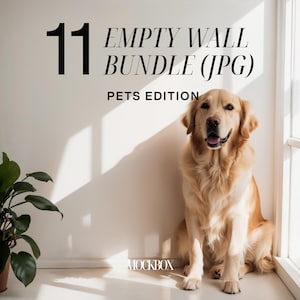 11 Blank Wall Mockup PETS Bundle, Room Empty Wall Mock-up Set JPG, Modern, Decal Art Backdrop, Digital Download
