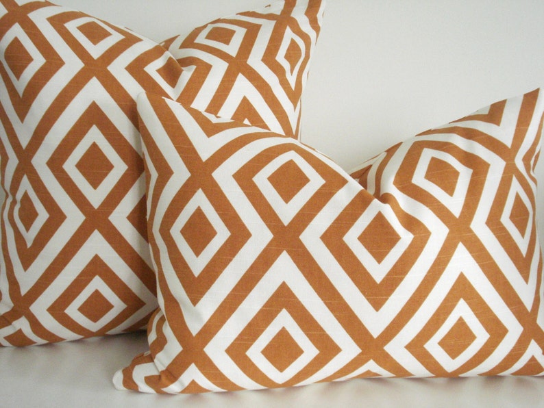 BOTH Sidesrichloom TANGERINE Decorative Designer Pillow Etsy