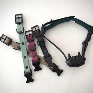 May include: A collection of dog collars in various colors, including tan, mint green, burgundy, and black. Each collar features a black buckle and hardware. A black and green electronic training collar is also present.
