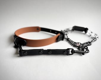 BioThane Dog Collar Safety Clip, Backup Leash Attachment