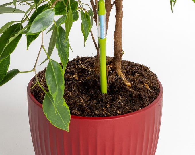 Sustee Soil Moisture Meter: Houseplant Watering Indicator