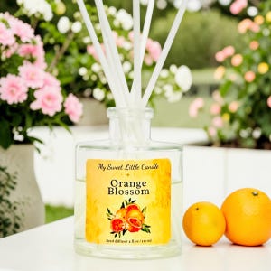 Orange Blossom Reed Diffuser : Floral Citrus Scent, Fresh and Clean Home Fragrance