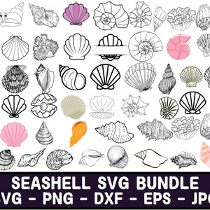 Seashell Svg, Beach Svg, Sea Shell Svg, Seashell Clipart, Seashell, Sea Shells Svg, Under The Sea Svg, Silhouette Svg, Seashells