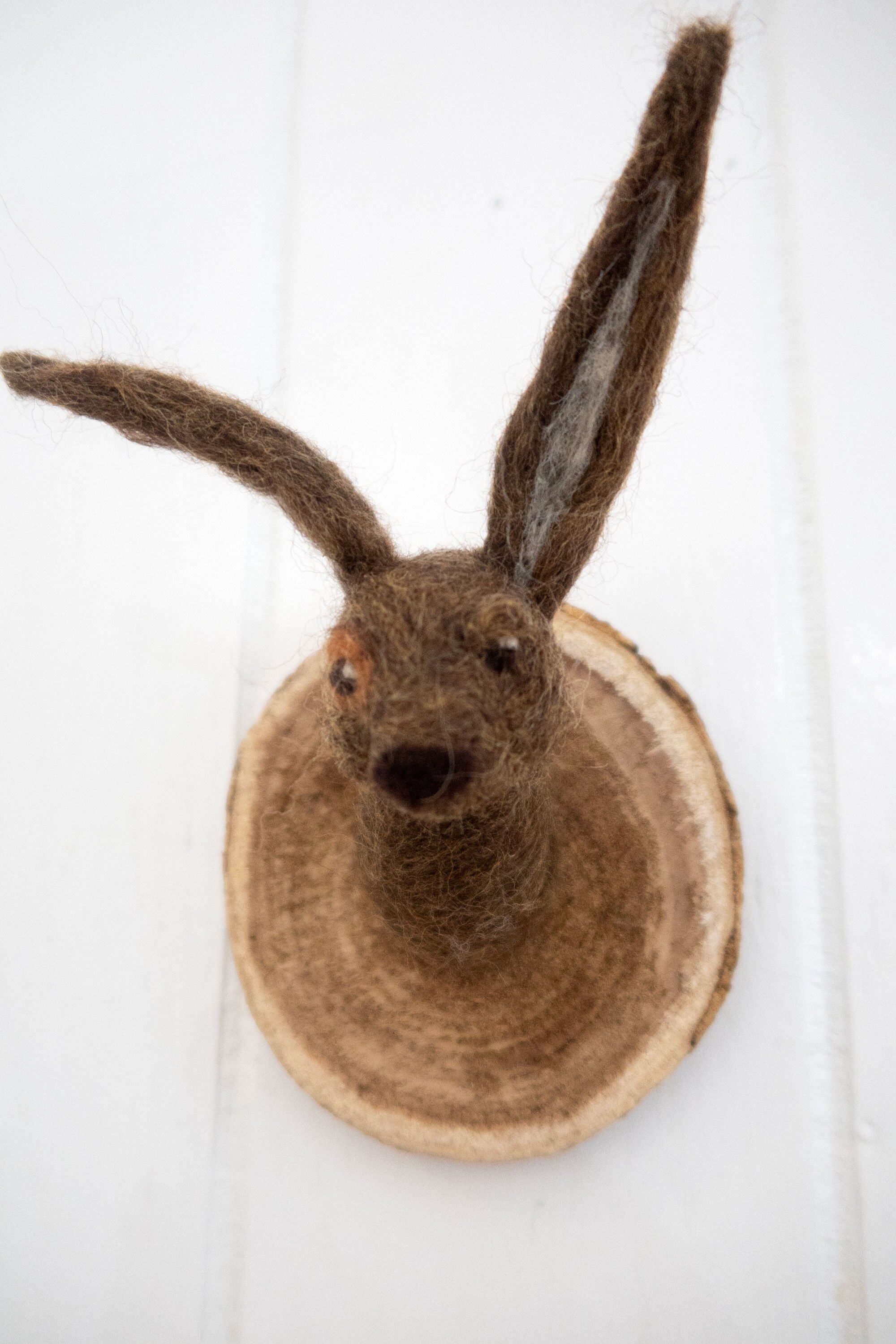 Wall Mounted Hare 