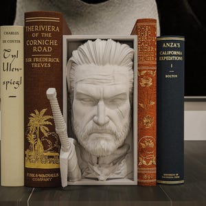 Geralt of Rivia Book Nook
