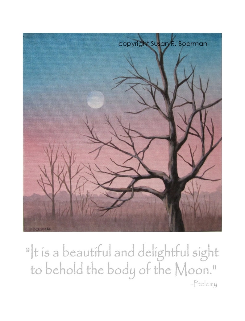 pale moon ebony tree pale moon ebony tree