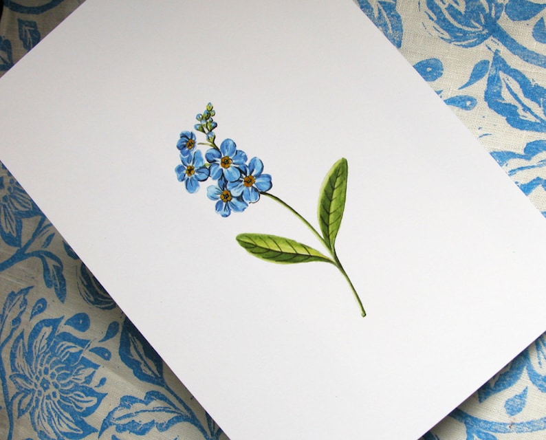 Forget Me Not original botanical illustration gardening art print spring home decor image 3