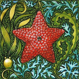 Holiday Sea Star nautical natural history original art botanical reproduction watercolor colorful digital print