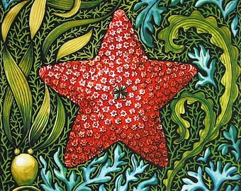 Holiday Sea Star nautical natural history original art botanical reproduction watercolor colorful digital print