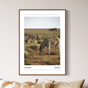 Könnte beinhalten: Ein gerahmtes Foto von Zebras, die auf einer grasbewachsenen Wiese grasen. Das Foto trägt den Titel "Namibia, Afrika".