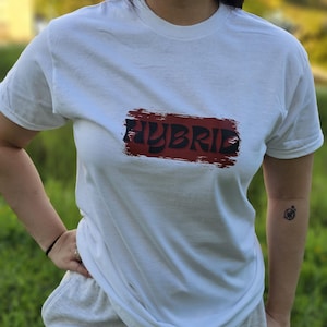De hybride: DPR IAN