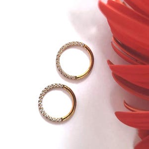 16 G  Impalnt Titanium Front Face CZ Hinged Segment Ring, Septum Clicker, Tragus Hoop Silver/Nose Piercing Jewelry 1.2*8/10mm