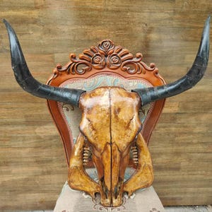 Real Steer Skull | Cow Skulls | Real steer skull with horns | Home decor | Real Longhorn Cow Skull With Horns | Western Decor | Cowboy gift