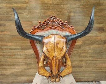 Real Steer Skull | Cow Skulls | Real steer skull with horns | Home decor | Real Longhorn Cow Skull With Horns | Western Decor | Cowboy gift