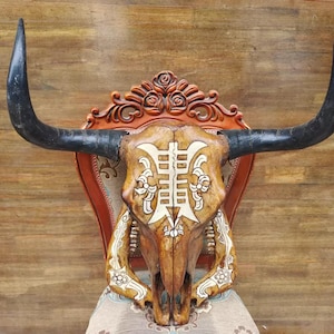 Real Steer Skull | Cow Skulls | Real steer skull with horns | Home decor | Real Longhorn Cow Skull With Horns | Western Decor | Cowboy gift