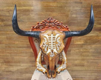 Real Steer Skull | Cow Skulls | Real steer skull with horns | Home decor | Real Longhorn Cow Skull With Horns | Western Decor | Cowboy gift
