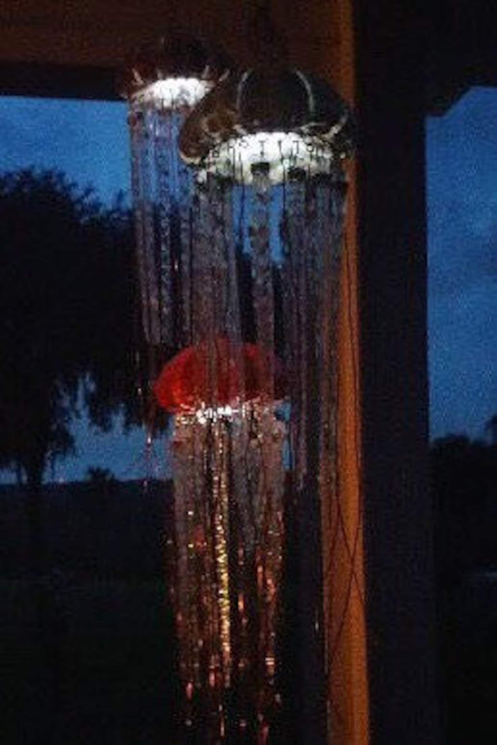 Hanging Jellyfish Lamp Shell Jellyfish Decor Sea Urchin Etsy