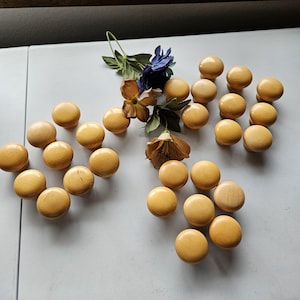 May include: A collection of light wood cabinet knobs arranged on a white surface. The knobs are round with a flat top and a natural wood grain finish. A few dried flowers and greenery are scattered among the knobs.