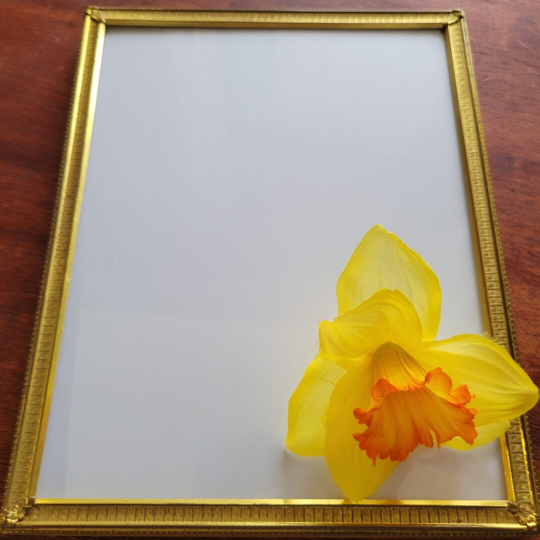 Vintage Frame Beautiful 8x10 Gold Color Metal Etched Work Free Etsy