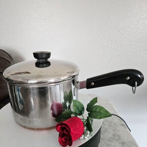 May include: A stainless steel saucepan with a lid and a black handle. The pot is sitting on a white surface with a red rose and green leaves.