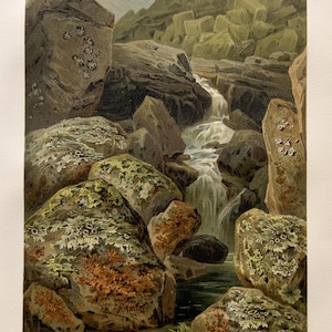 Op de afbeelding: Vintage prent van een berglandschap met een beek die over met mos bedekte rotsen stroomt. Het kunstwerk toont een gedetailleerde weergave van de natuurlijke omgeving, met de nadruk op de texturen en kleuren van de rotsen en de vegetatie. De prent heeft een crèmekleurige rand.