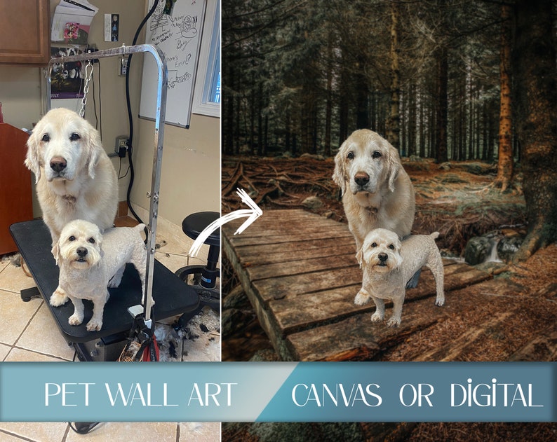 Photo Editing, Photo Manipulation, Request, Add Person to